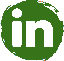 Linkedin icon